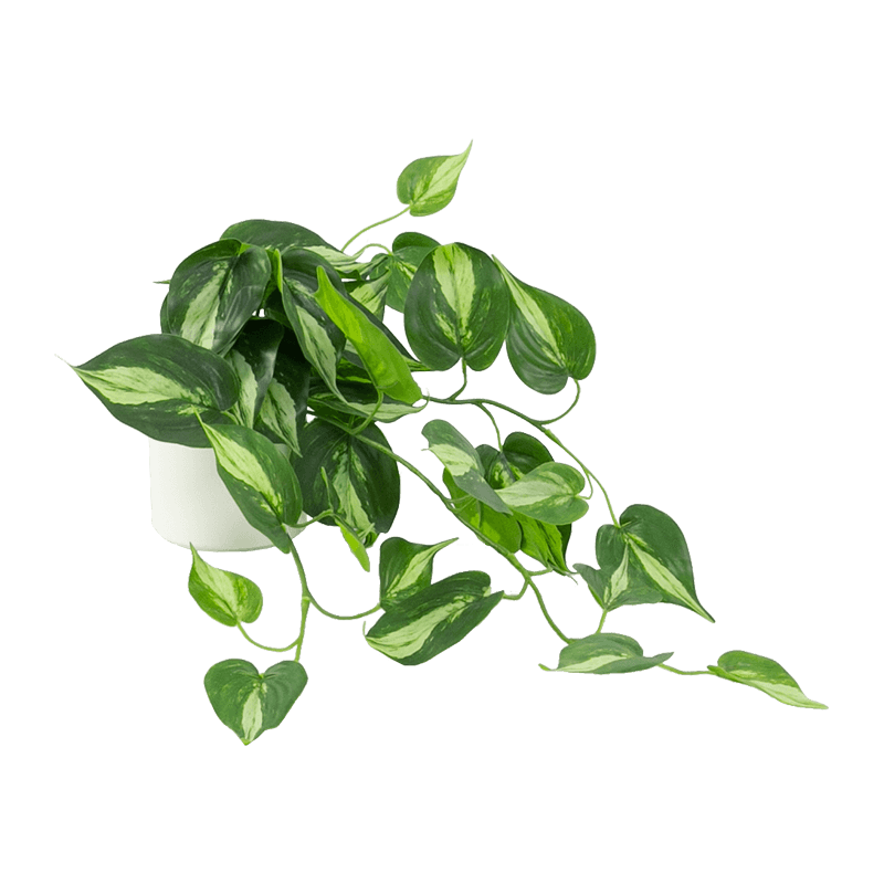 Artificial Green Plant in Ceramic Pot 19.7