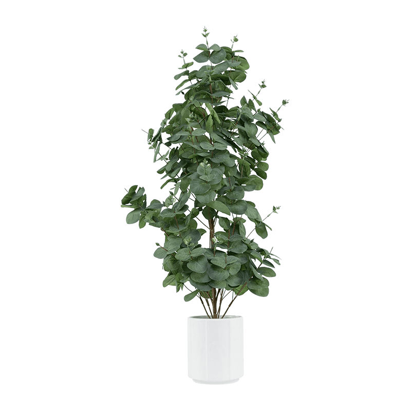 Artificial Eucalyptus in Ceramic Pot 31.5