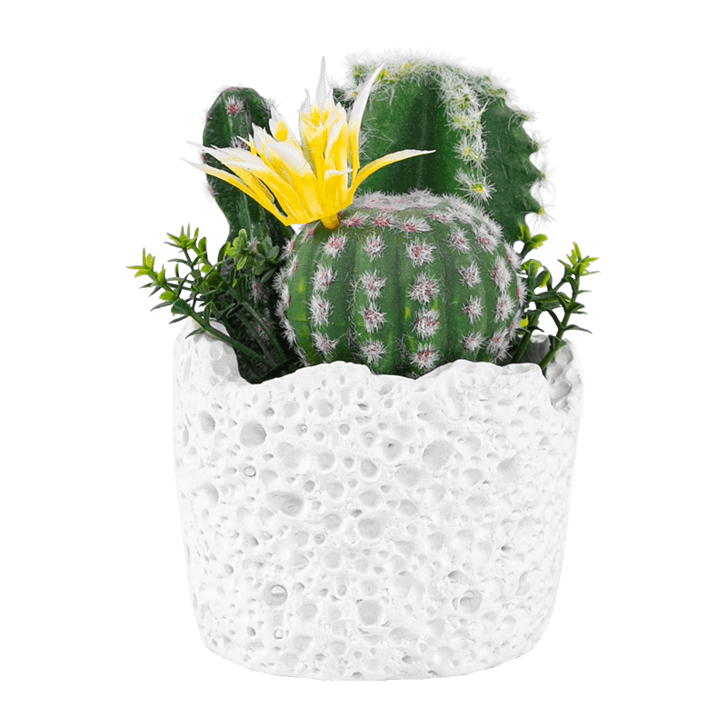 Artificial Cactus Cement Pot