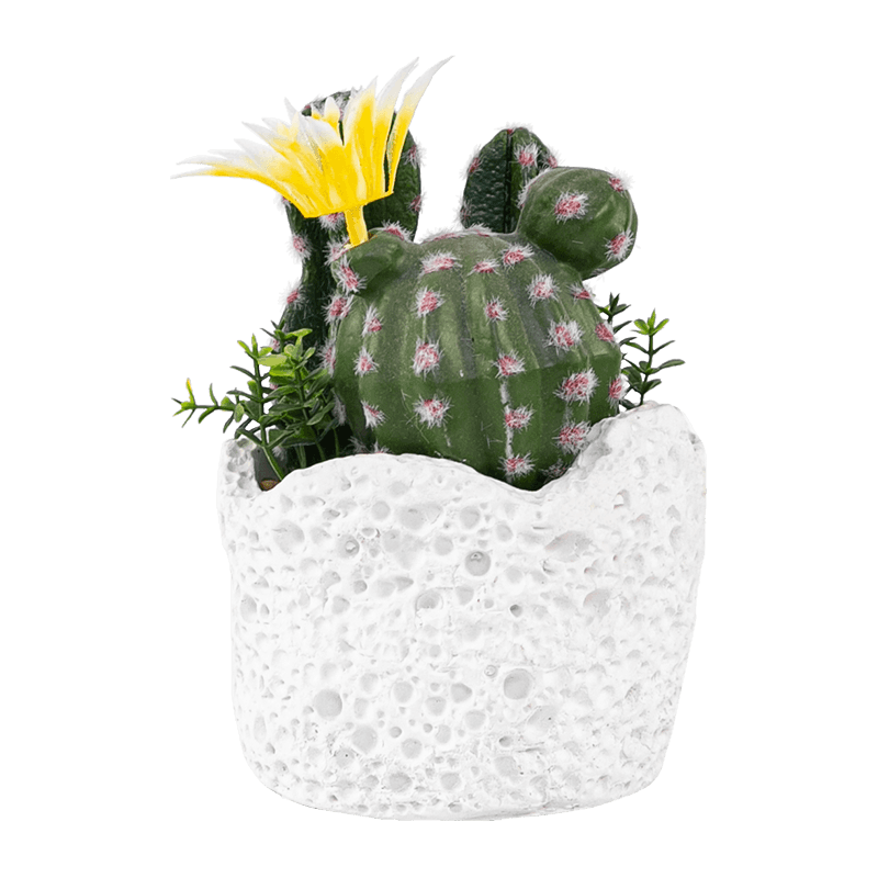 Artificial Cactus Cement Pot