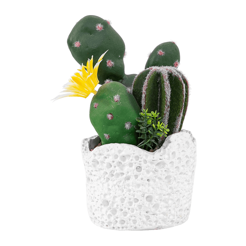 Artificial Cactus Cement Pot