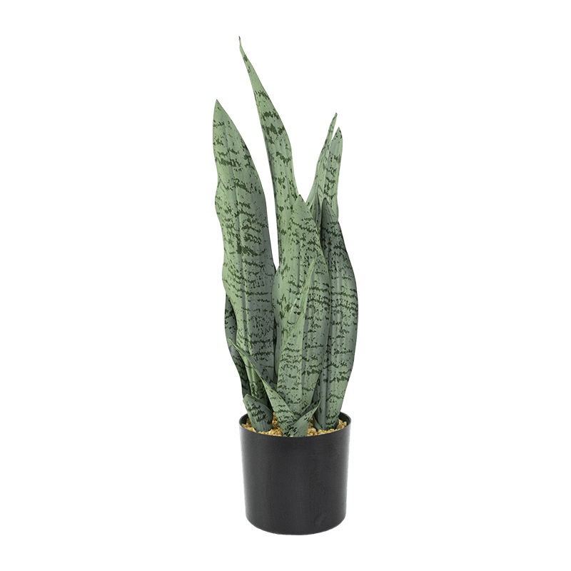 Artificial Snake Aloe 5 Leaves in PP Pot 20.8 Inch