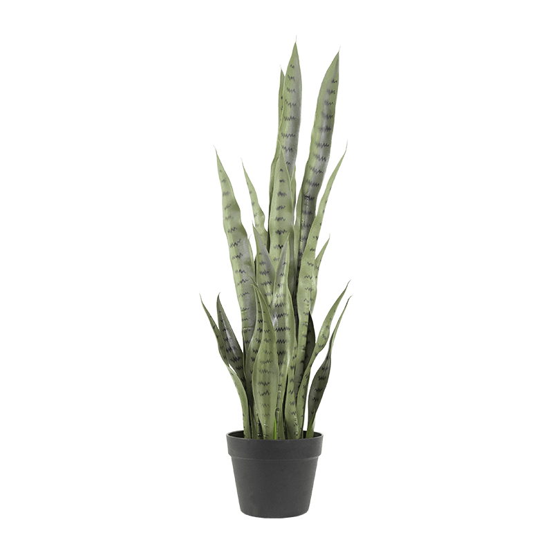 Artificial Snake Aloe in PP Pot 15.8