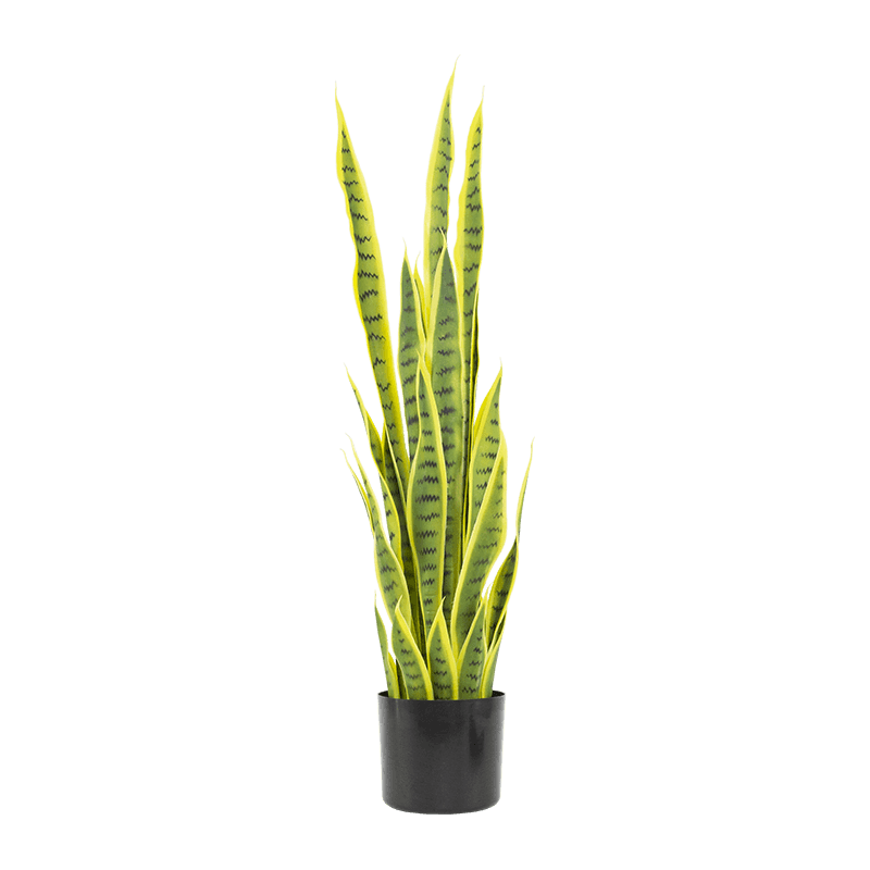 Artificial Snake Aloe in PP Pot 15.8