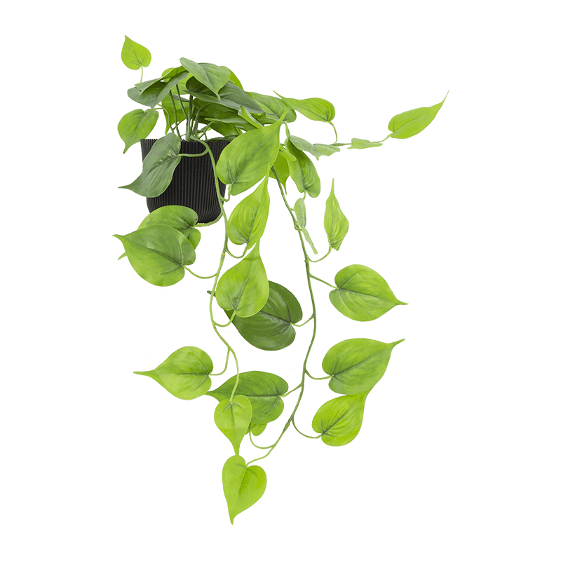 Artificial Hanging Green Leaves in PP Pot 27.6