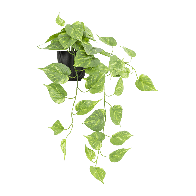 Artificial Hanging Green Leaves in PP Pot 27.6