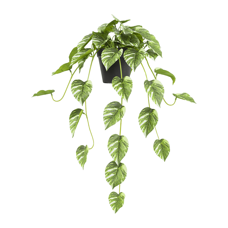 Artificial Cascading Green Leaves in PP Pot 27.6