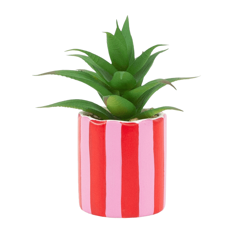 Ceramic Pot Succulent 12cm