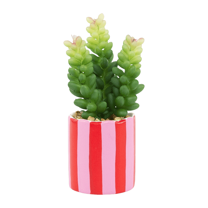 Ceramic Pot Succulent 12cm
