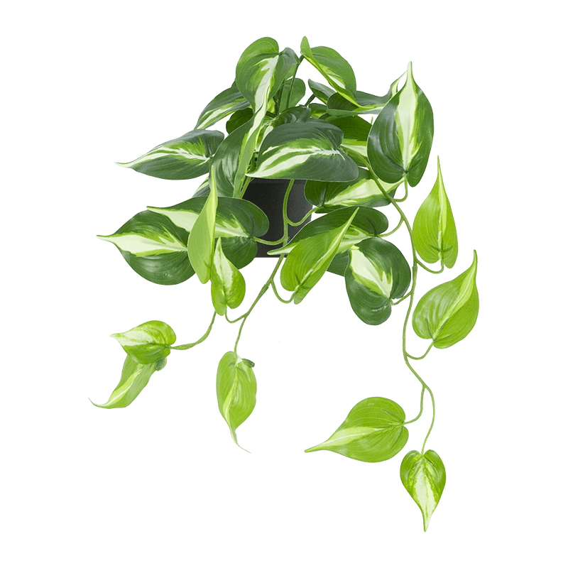 Artificial Pathos 34 Leaves in PP Pot 48cm