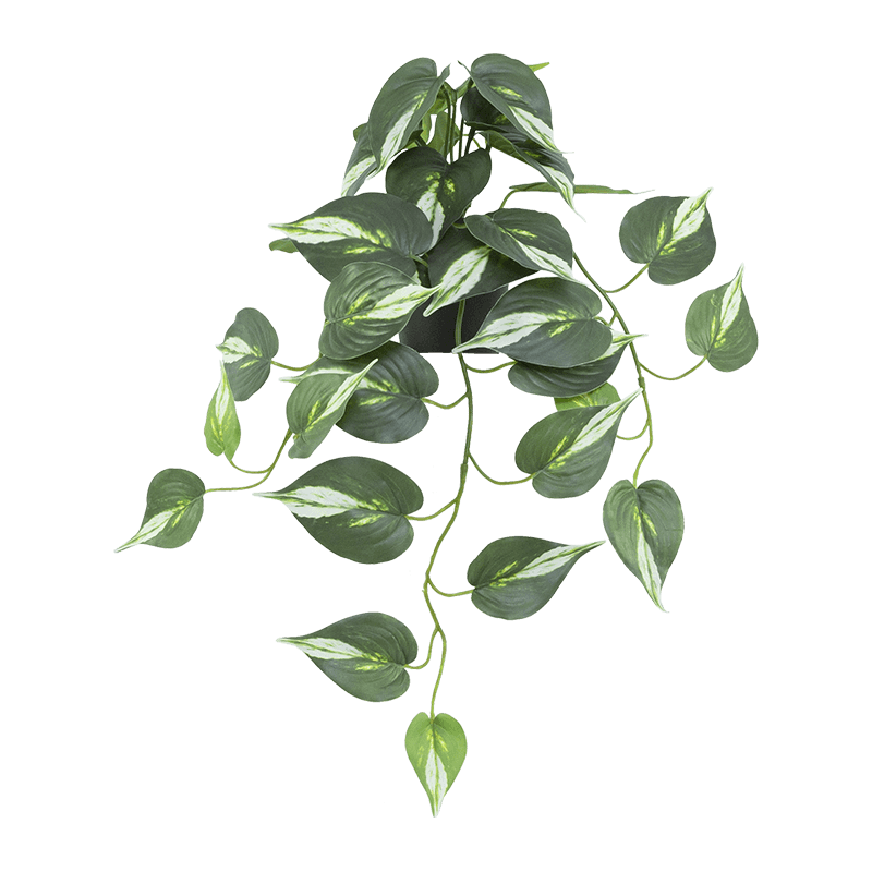 Artificial Pathos 34 Leaves in PP Pot 48cm