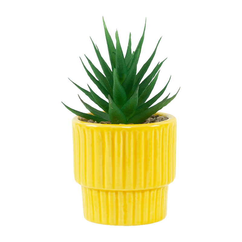 Artificial Succulent Ceramic Planter
