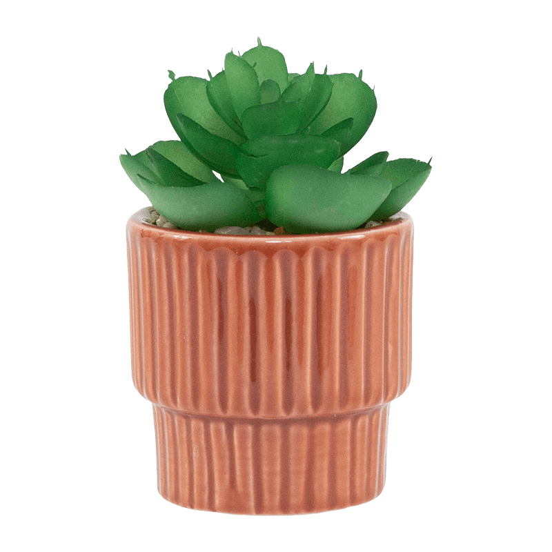 Artificial Succulent Ceramic Planter