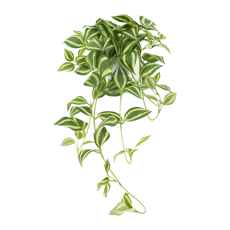 Artificial Eyebrow Leaf Plant in Ceramic Pot 60cm