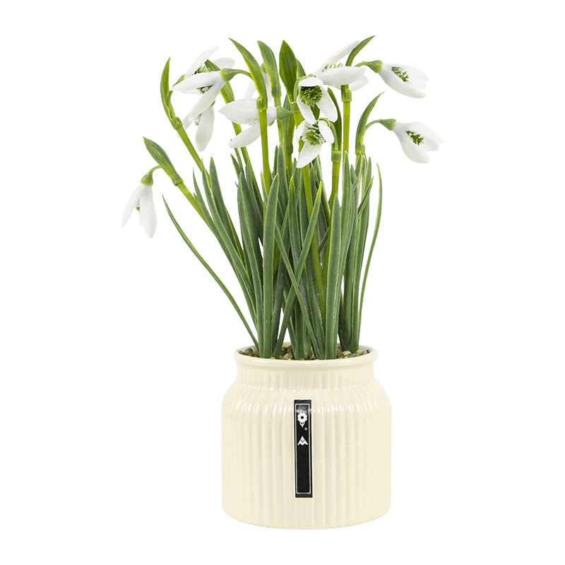 Artificial Snow Lotus in Ceramic Pot 28cm