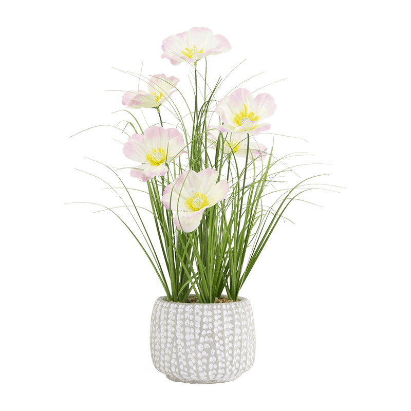 Artificial Daisy in Cement Pot 38cm
