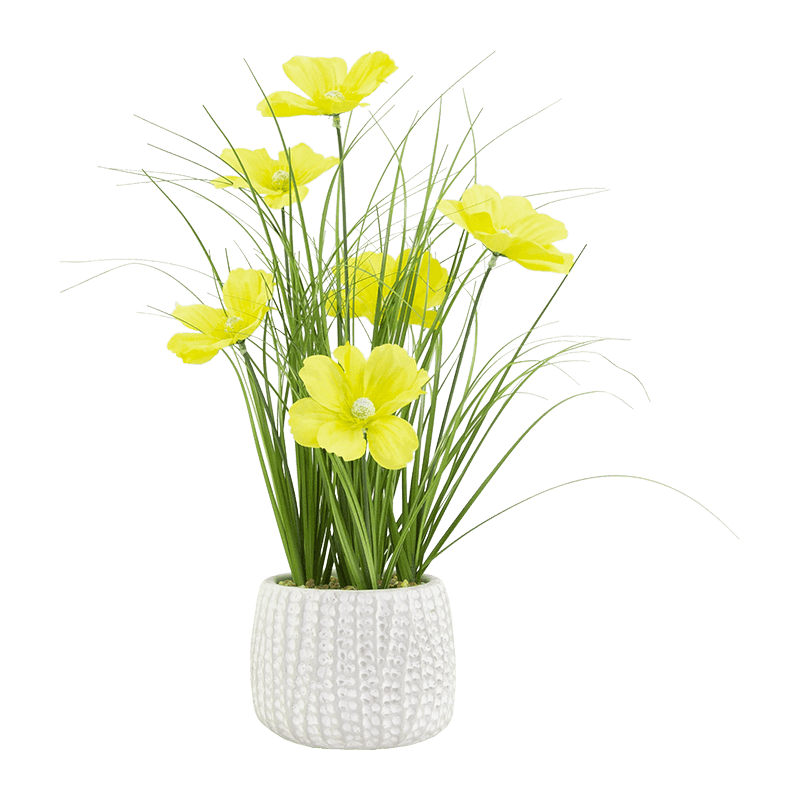 Artificial Daisy in Cement Pot 38cm