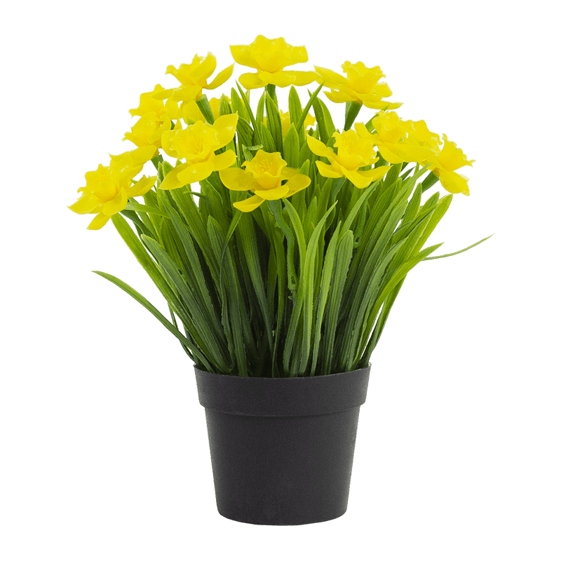 Artificial Narcissus in PP Pot 10.6