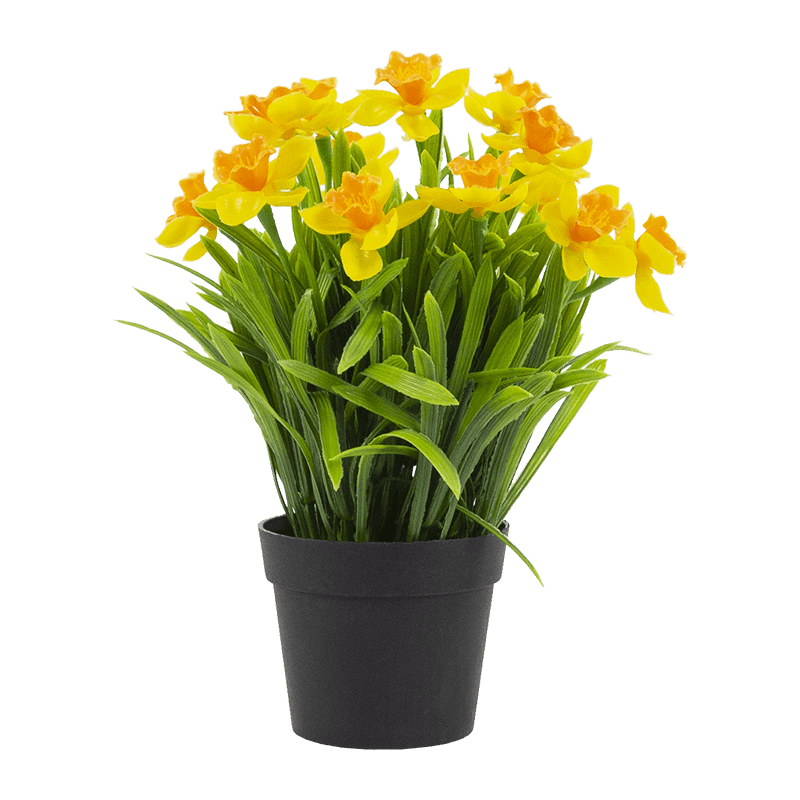 Artificial Narcissus in PP Pot 10.6