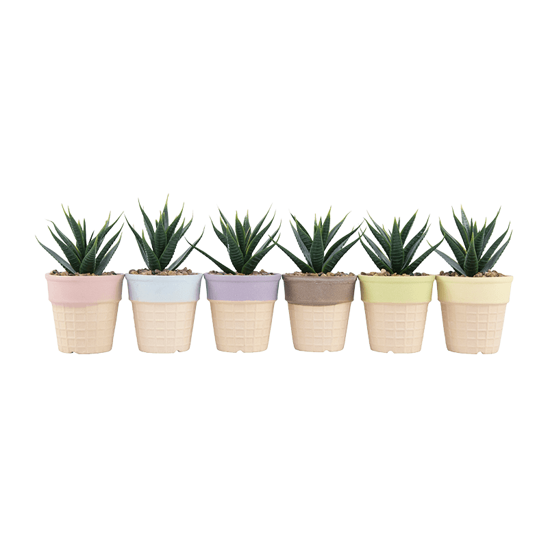 Artificial Succulent in Ice Cream Pot