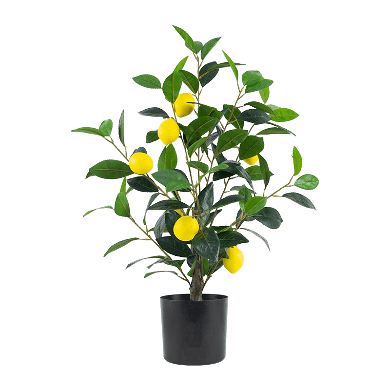 Artificial Lemon Plant in PP Pot 24.5