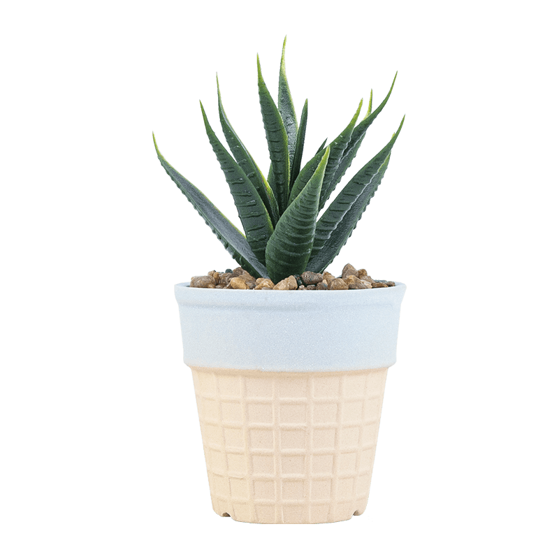 Artificial Succulent in Ice Cream Pot