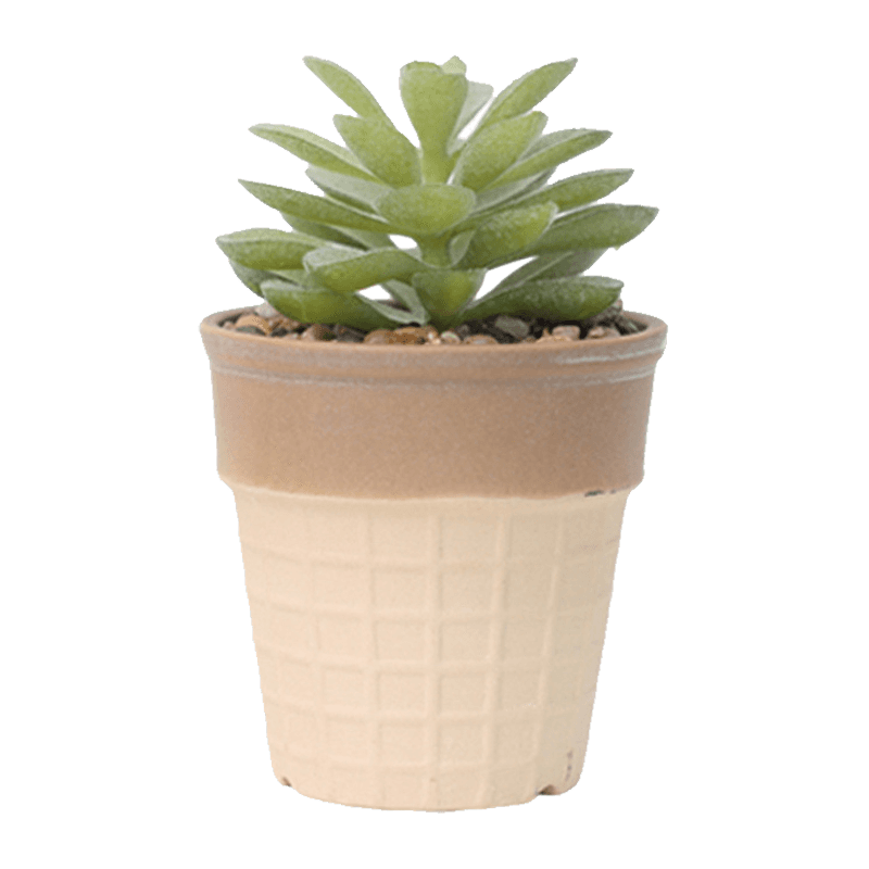 Artificial Succulent in Ice Cream Pot