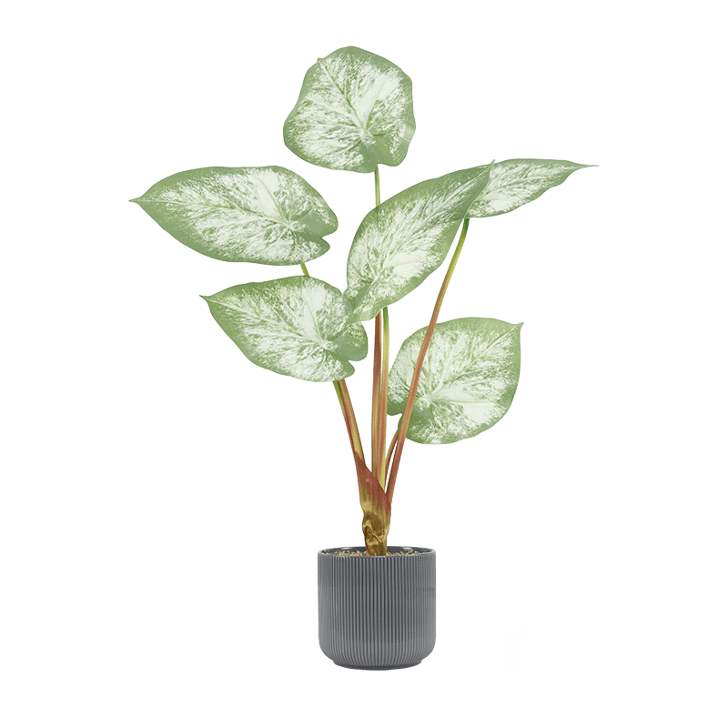 Artificial Pink Taro Plant 6 Leaves in Ceramic Pot