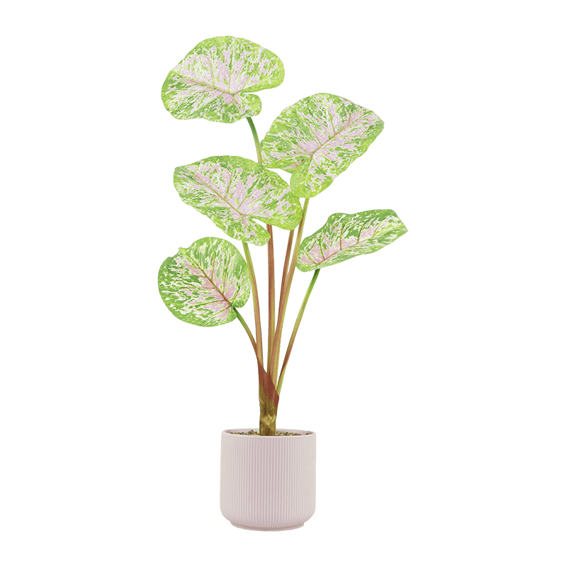 Artificial Pink Taro Plant 6 Leaves in Ceramic Pot