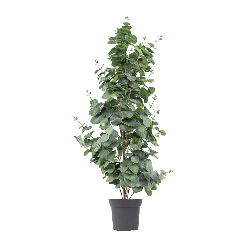 Artificial Eucalyptus Plant PP Pot 33.86 Inch