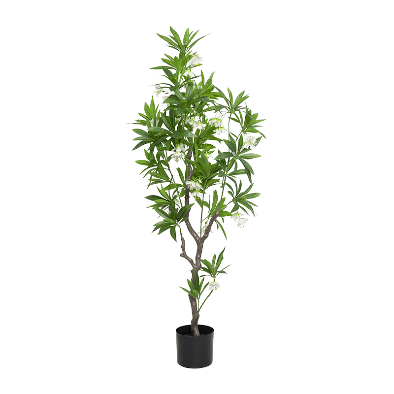 Artificial Elaeocarpus Hainanensis Plant Potted