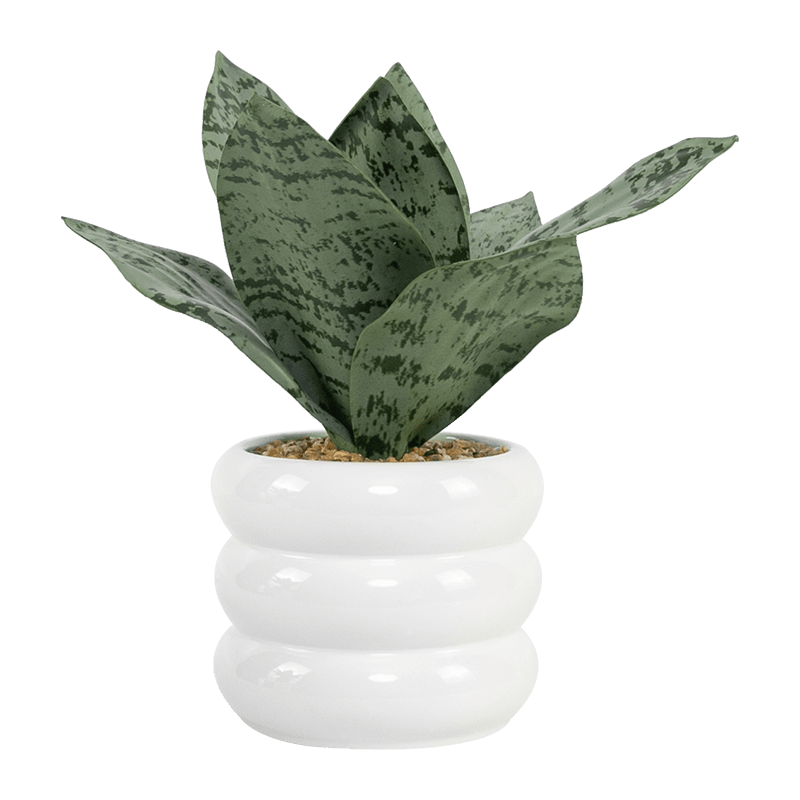 Artificial Snake Plant White Ceramic Pot 23cm