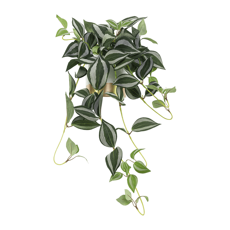 Artificial Eyebrow Leaf Ceramic Pot 60cm