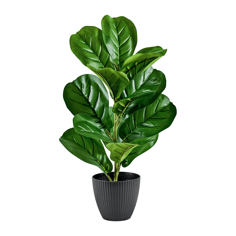 Artificial Fiddle Leaf Fig PP Pot 50cm 15 Leaves