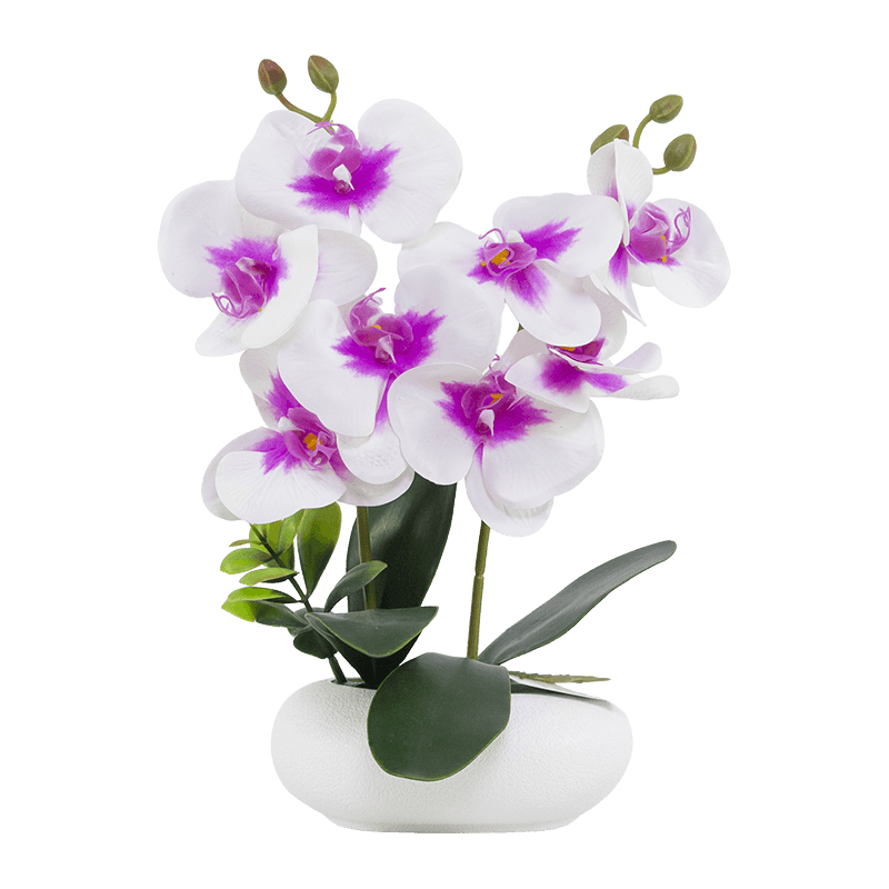 Artificial Orchid PP Pot 13 Inch 8 Flowers
