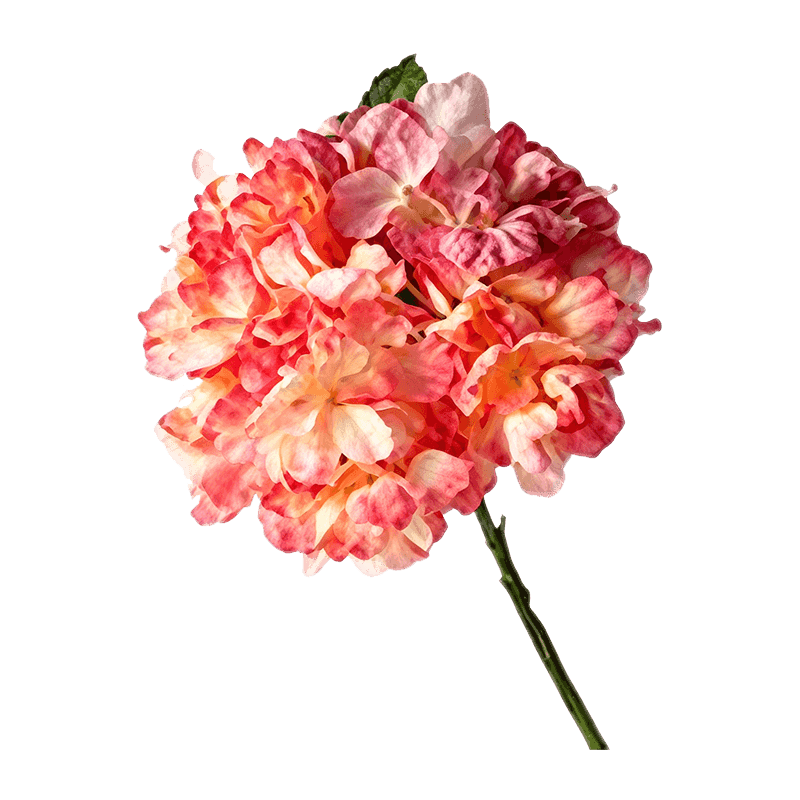 Single Hydrangea Flower 34cm