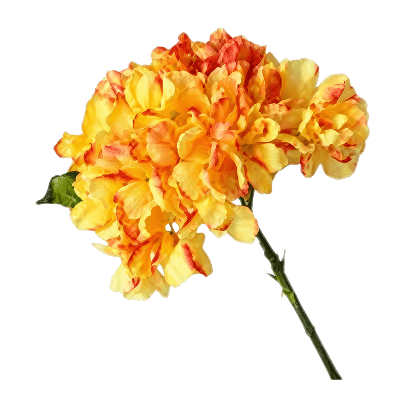 Single Hydrangea Flower 34cm