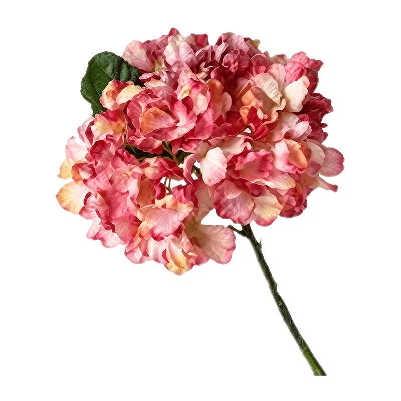 Single Hydrangea Flower 34cm