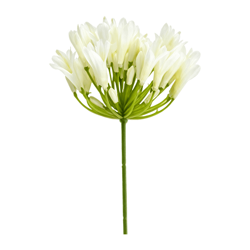 Artificial Agapanthus Single Stem
