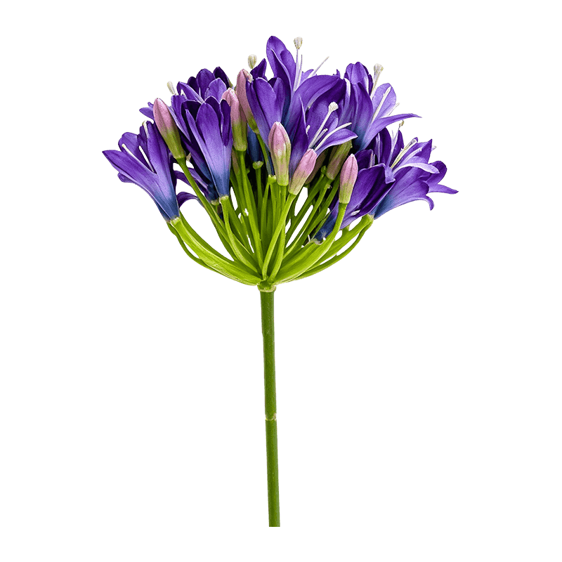 Artificial Agapanthus Single Stem