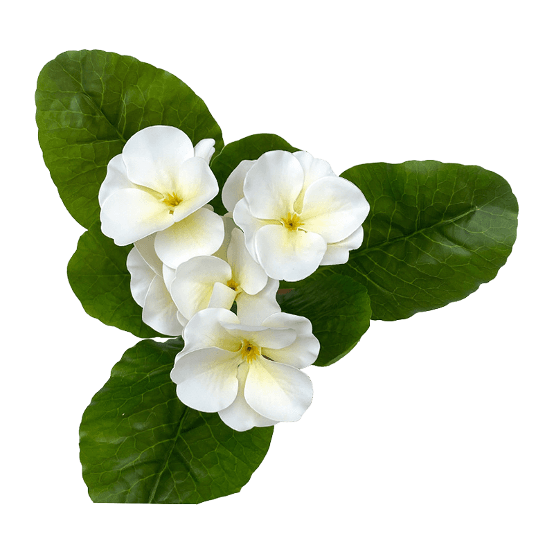 Artificial Primrose Bush