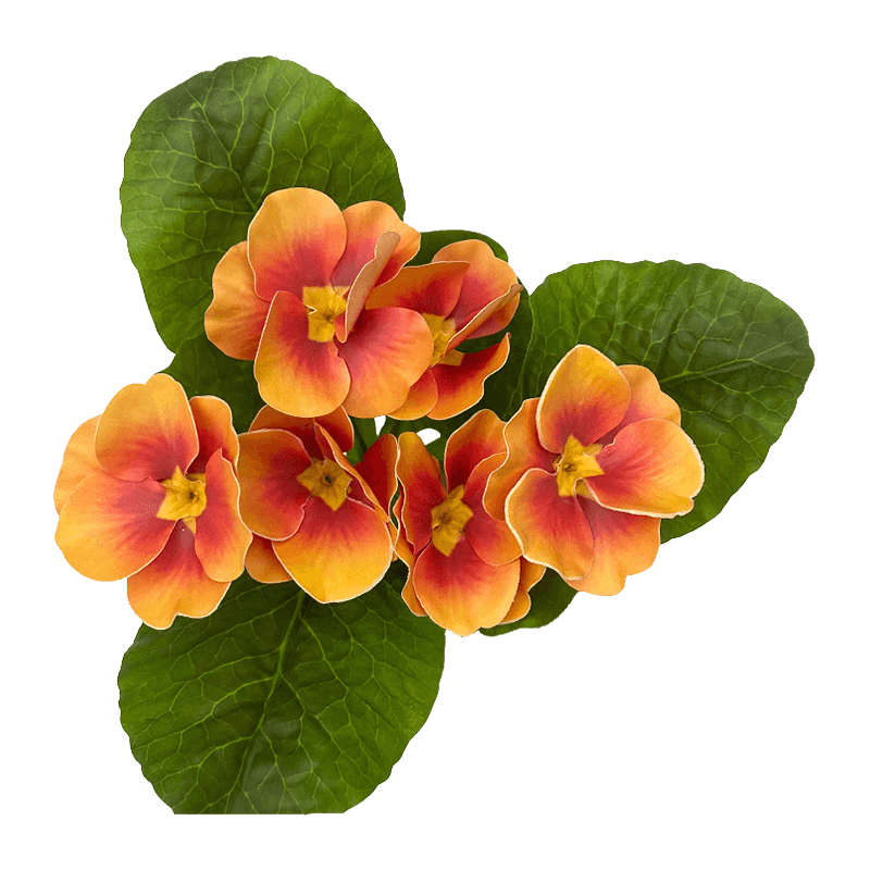 Artificial Primrose Bush