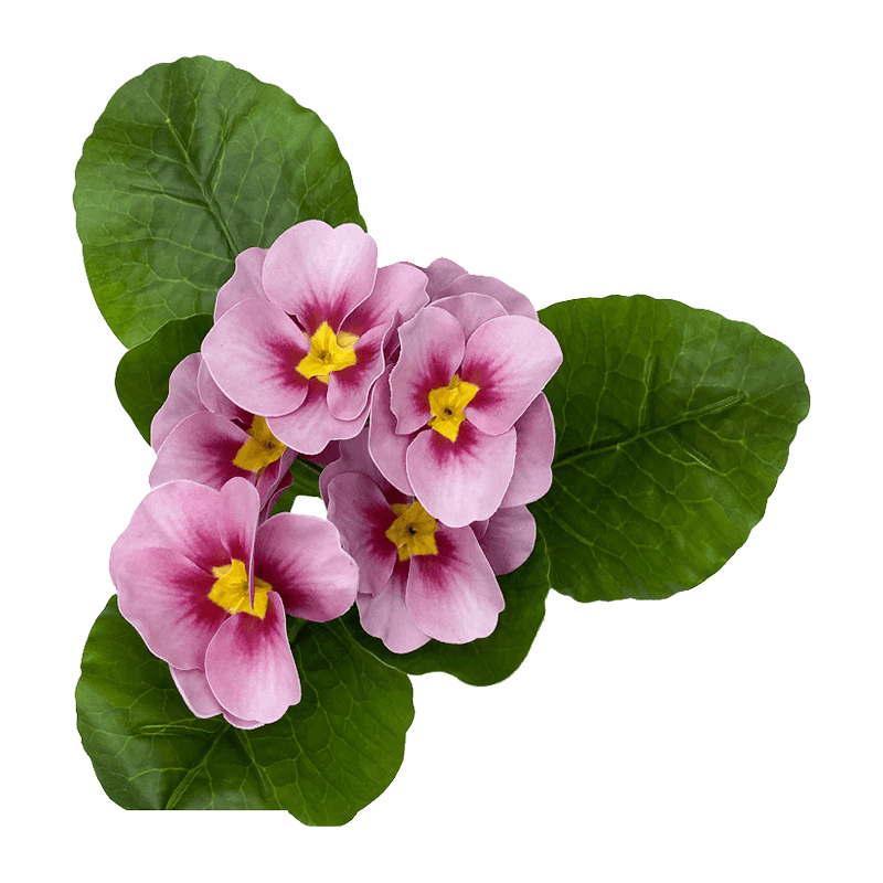 Artificial Primrose Bush