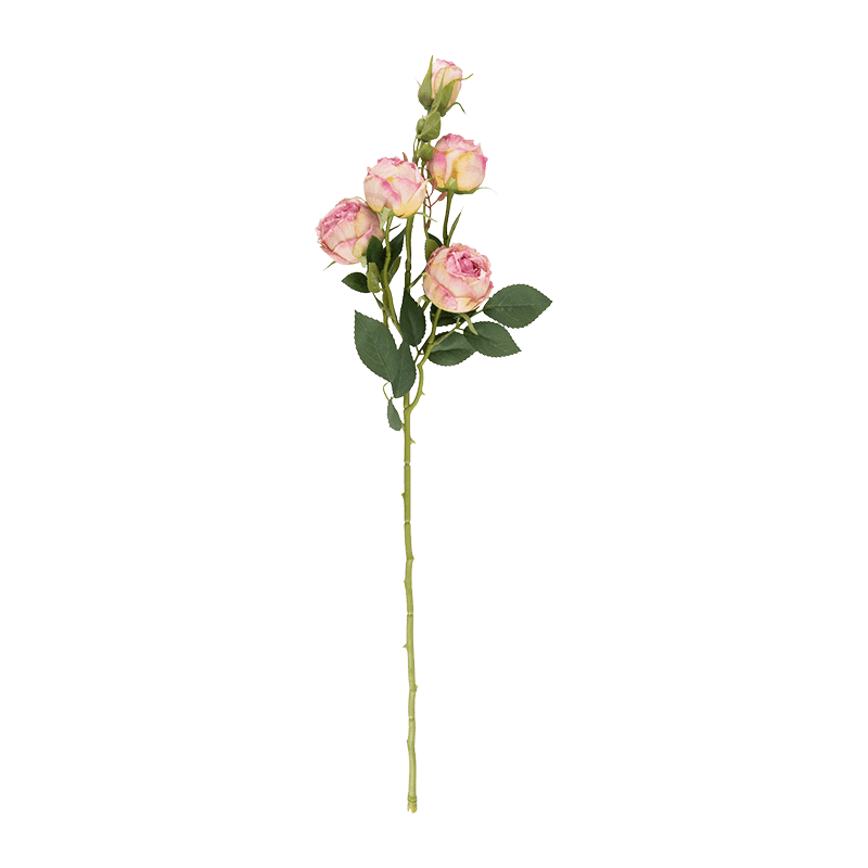 Artificial 5-Head Gradient Garden Rose Stem