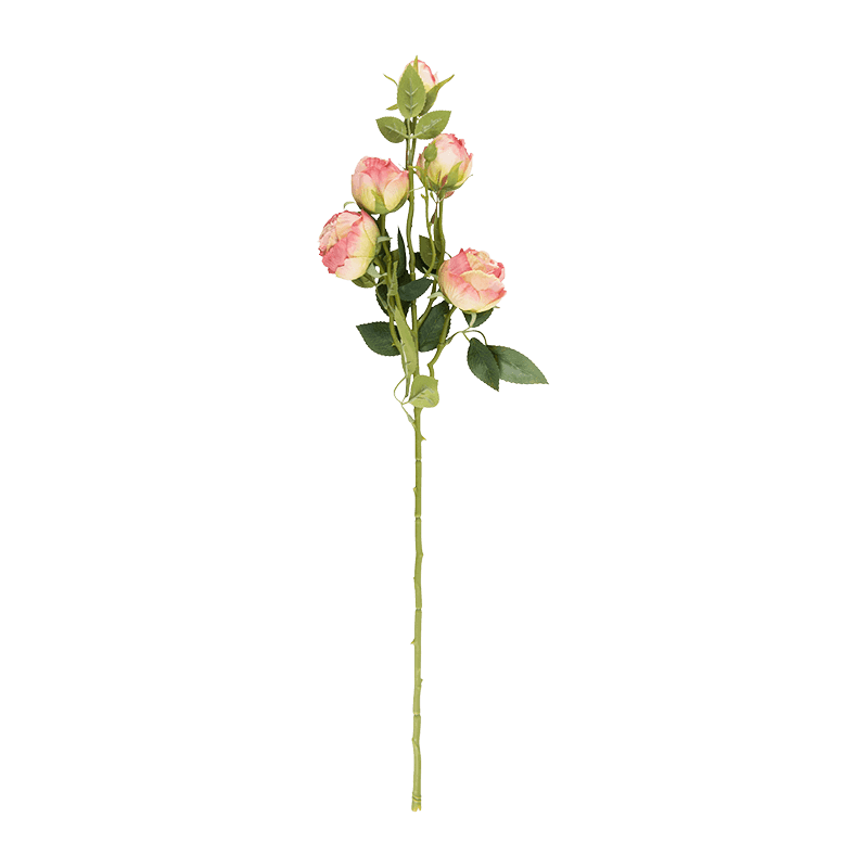 Artificial 5-Head Gradient Garden Rose Stem