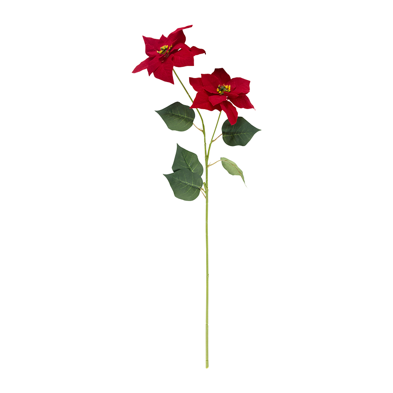 Single 2 Christmas Flowers