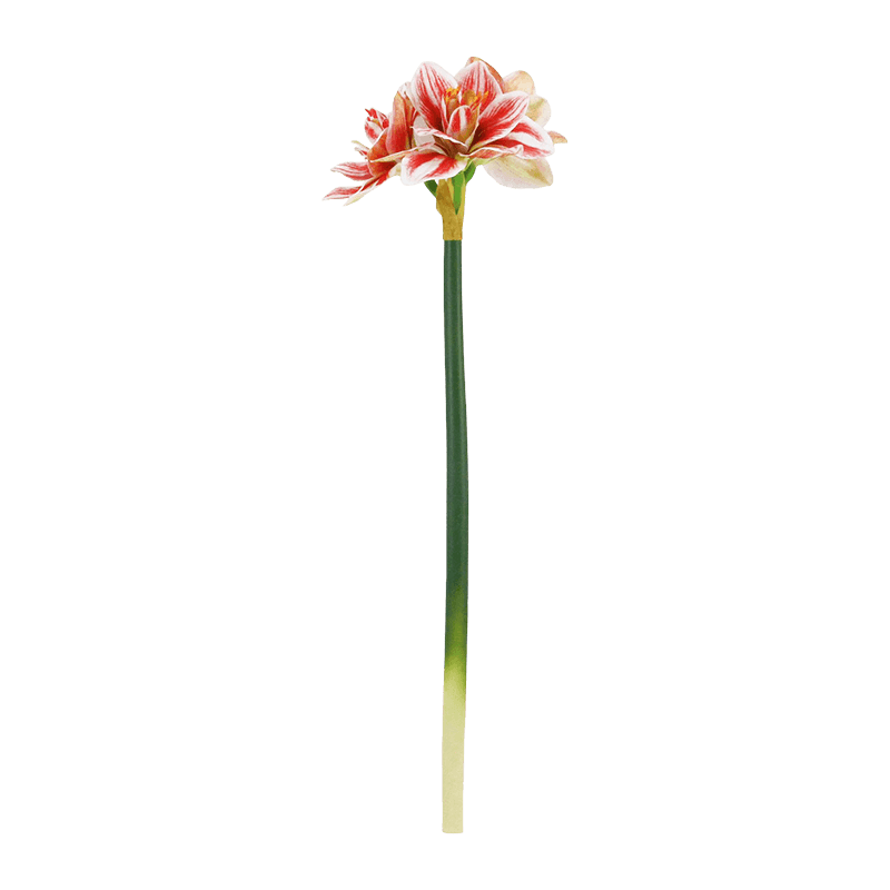 Artificial Hippeastrum Flower-3 Flowers Rose