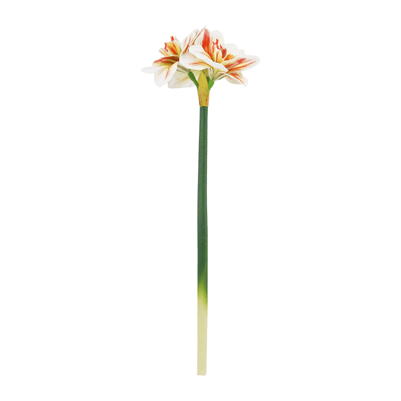 Artificial Hippeastrum Flower-3 Flowers Rose