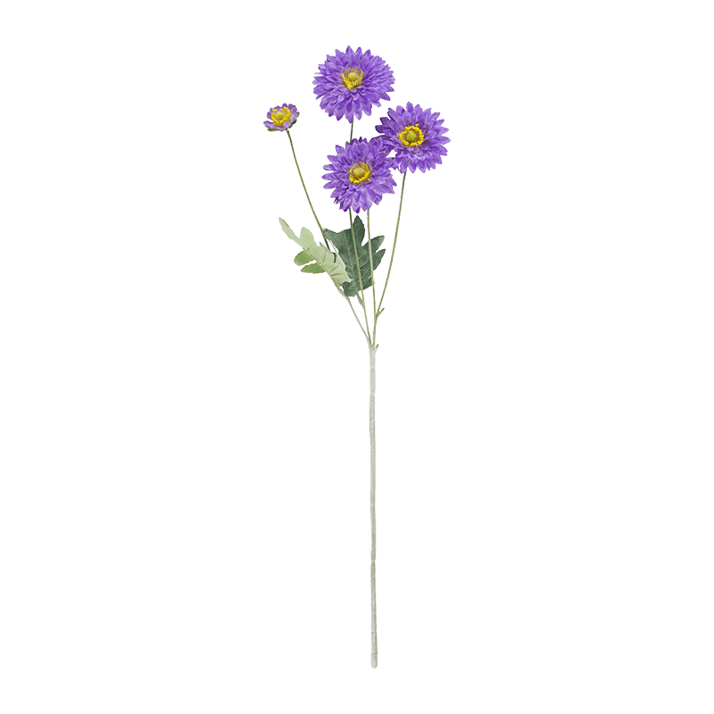 Gerbera Daisy Bouquet