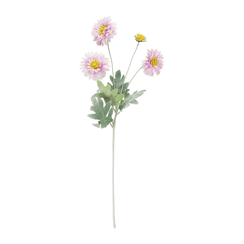 Gerbera Daisy Bouquet
